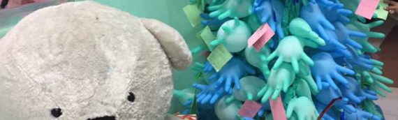 Toy Giving at National Children’s Hospital, QC. December 12, 2016