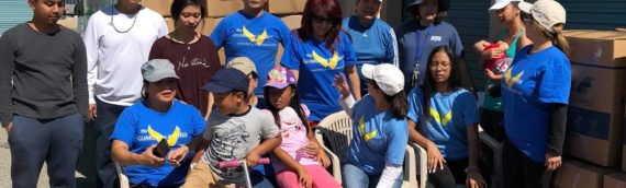 Look at what we are up to – 2018